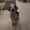 Brigitte Rennert - @brigitte.rennert - TikTok