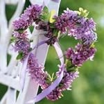 Brigitte Fritz - @brigittefritz - Instagram