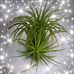 Brigitte Rivard - Facebook