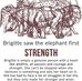 Brigitte Robbins - Facebook