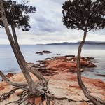 Brigitte Romain - @romain.brigitte.br - Instagram