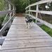 Brigitte Rossberg - Facebook