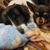 Brigitte Rudolf - Facebook
