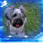 Brigitte Russi Galeano - @brigitterussi01 - Instagram