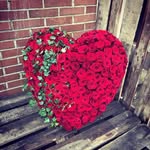 Brigitte Russo - @briru17 - Instagram