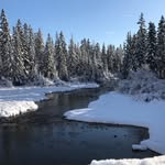 Brigitte Samson - @brigittesamson5992 - Instagram