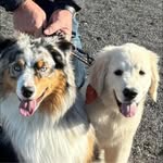 Brigitte Samson - @brigitte.samson.524 - Instagram