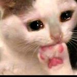 Brigitte Sanchez - @brigitte.sanchez.7923 - Instagram