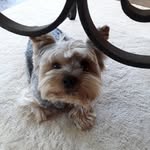 LENORMAN Santamaria - @brigitte.santa31 - Instagram
