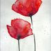 Brigitte Schafer - Facebook