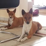 Brigitte Moser - @brigitte.scheckenbach - Instagram