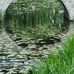 Brigitte Scheck - Facebook