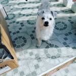 Brigitte.scheck57 - @brigitte.scheck - Instagram