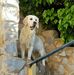 Brigitte Schiller - Facebook