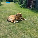 Brigitte Schiller - @brigitte.schiller.750 - Instagram