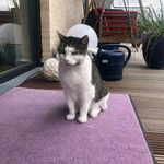 Brigitte Schilling - @schilling9213 - Instagram