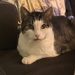 Brigitte Schilling - @b.schilling1963 - Instagram