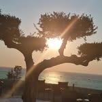 Brigitte Schilling - @schilling_brigitte - Instagram