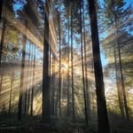 Brigitte Schilling-Kirchhoff - @schillingkirchhoff - Instagram