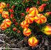 Brigitte Schilling-Kirchhoff - Facebook