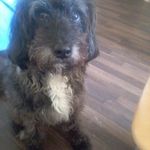 Brigitte Schmid - @brigitte.schmid.5494 - Instagram