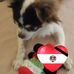Brigitte Schmid - Facebook