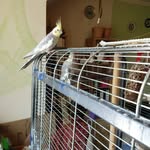 Brigitte Schreiber - @brigitteschreiber464 - Instagram