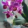 Brigitte Schreiber - @brigitte.schreibe74 - TikTok