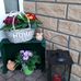 Brigitte Schreiber - Facebook
