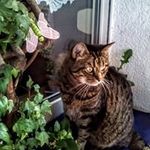 Brigitte Schröder - @brigitte.schroder.7587 - Instagram