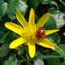 Brigitte Schroeder - Facebook
