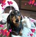 Brigitte Schubert - Facebook