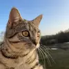 Brigitte Stark - @brigitte.stark5 - TikTok