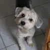 brigittestarke - @brigittestarke - TikTok