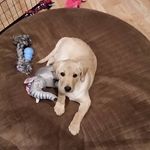 Brigitte Taylor - @blgagnon64 - Instagram