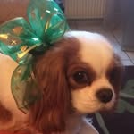 Brigitte Vincent - @brigitte.vincent.5851 - Instagram