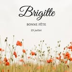 Brigitte Vincent - @brigittevincent86 - Instagram