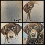 Brigitte Vincent - @dessinatrice_brigitte_vincent - Instagram