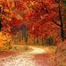 Brigitte Werner - Facebook