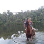 Brigitte Werner - @brigitte.werner.64 - Instagram