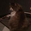 Brigitte Werner - @brigitte.werner - TikTok