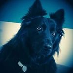Brigitte Werner-Rossdeutsch - @wernerrossdeutsch - Instagram