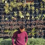 Brijesh Joshi - @brijesh_joshi_7 - Instagram