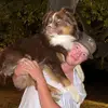 Brenton - @brenton_king - TikTok
