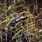 Brian Dickerson - @briansoutdoorworld - Instagram