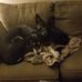 Brian Dickerson - Facebook