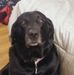 Brion Gerrish - Facebook