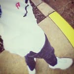 brionjohnson - @brionjohnson03 - Instagram