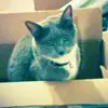 Briona Hall - @user34635109955177 - TikTok