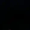 briseidaguzman597 - @briseidaguzman597 - TikTok